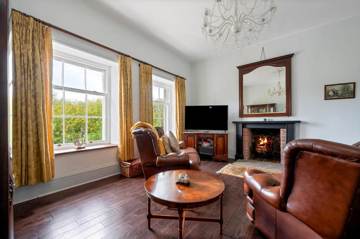 Living room with open fire